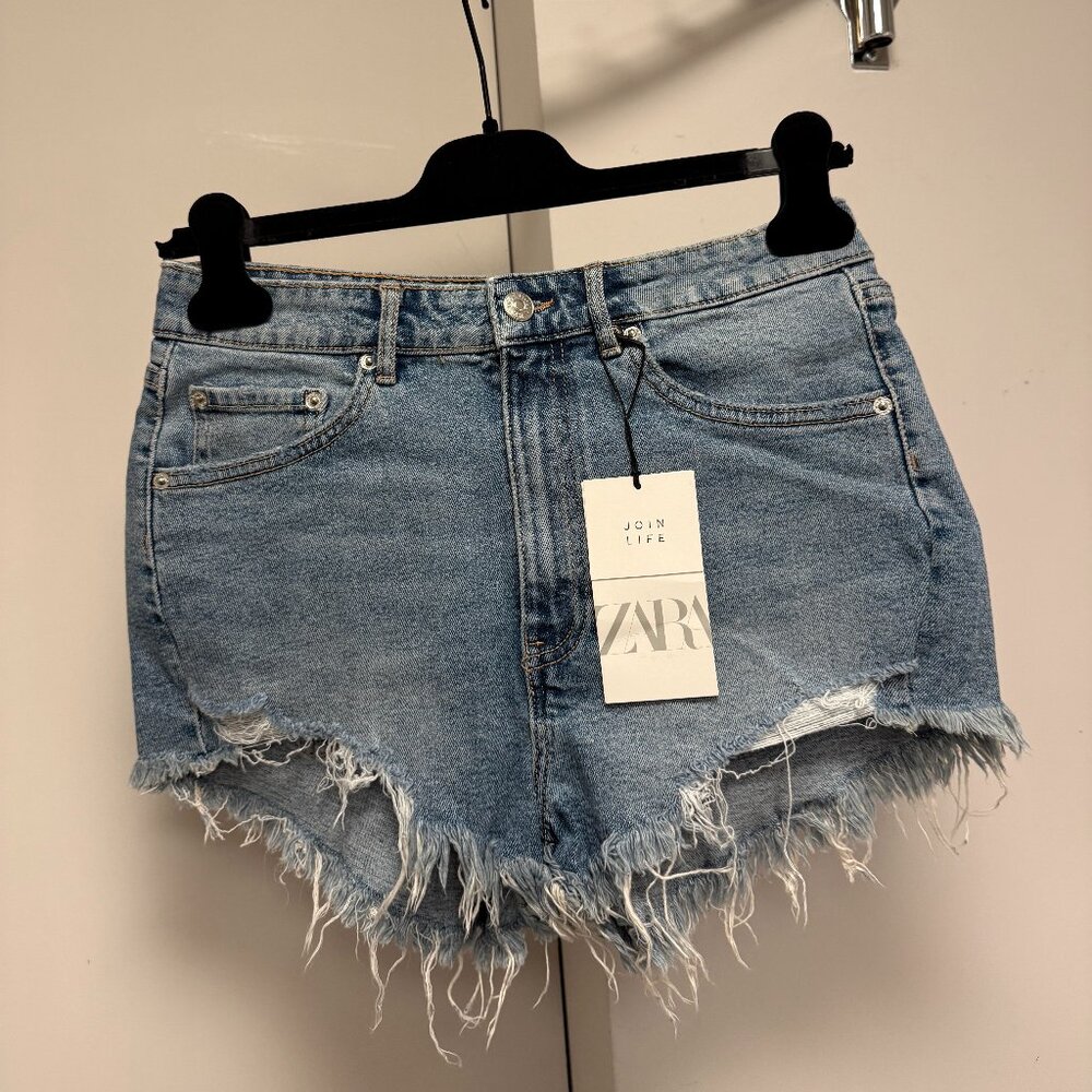 Zara Shorts / Size 38 / US 06